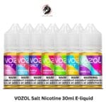 VOZOL Salt Nicotine 30ml