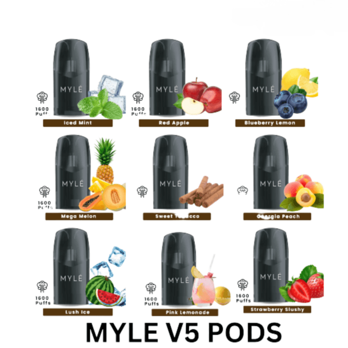 Myle V5 Pods Meta In Dubai Uae Best Vape Shop In Dubai Vape Shop Near Me