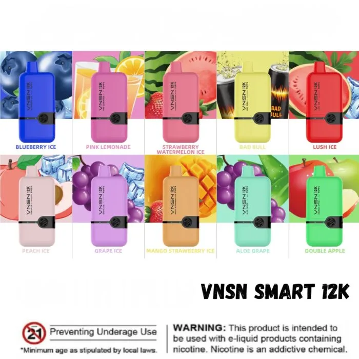 Vnsn Smart 12000 Vape Deposable Puffs Best Vape Shop In Dubai Vape Shop Near Me