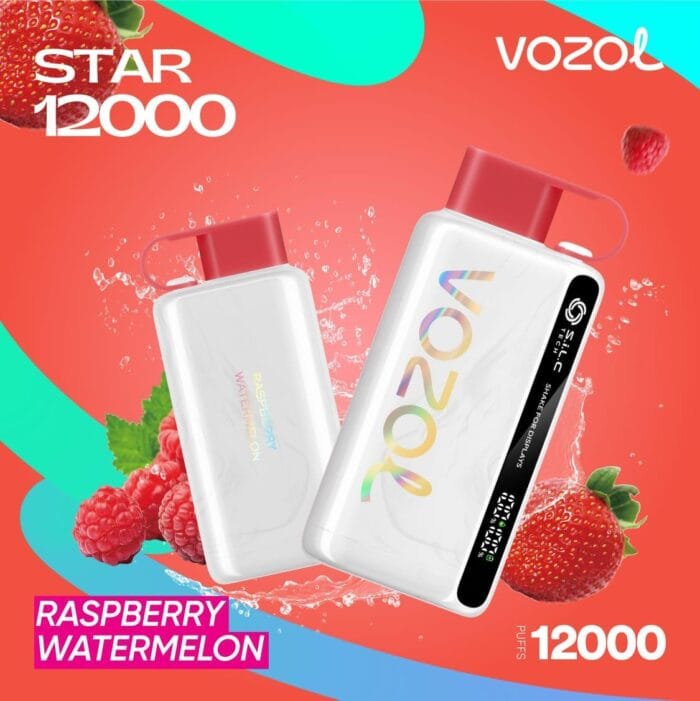 Vozol Star 12000 Puffs Best Disposable Vape Best Vape Shop In Dubai Vape Shop Near Me 13