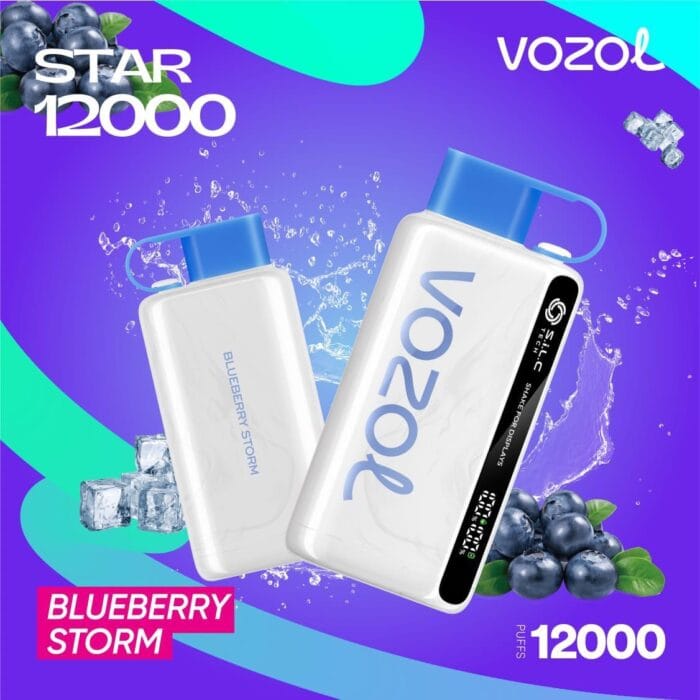 Vozol Star 12000 Puffs Best Disposable Vape Best Vape Shop In Dubai Vape Shop Near Me 14