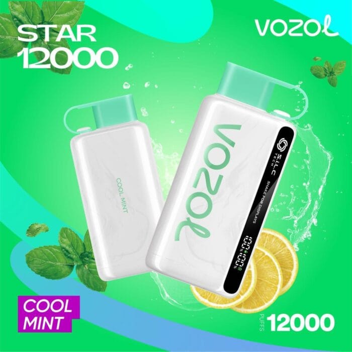 Vozol Star 12000 Puffs Best Disposable Vape Best Vape Shop In Dubai Vape Shop Near Me 3