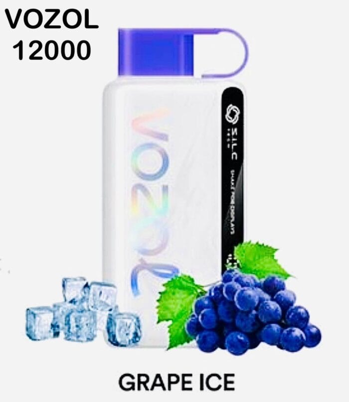 Vozol Star 12000 Puffs Disposable Vape In Dubai Uae Best Vape Shop In Dubai Vape Shop Near Me 2