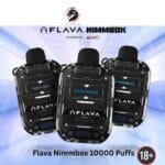 Flava Nimmbox 10000 Puffs