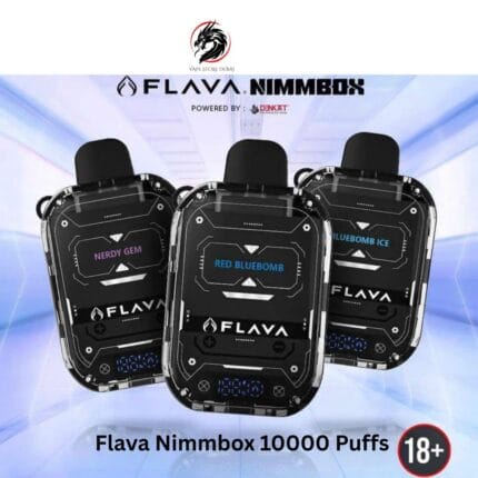 Flava Nimmbox 10000 Puffs