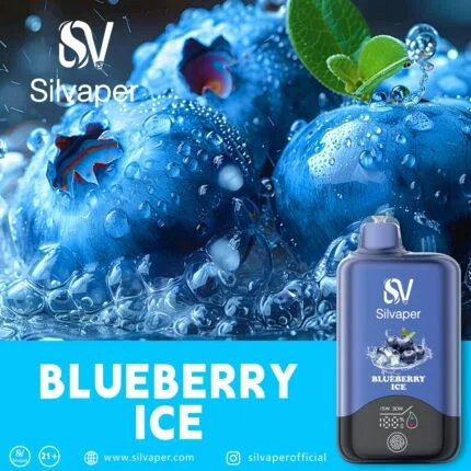 Silvaper 15000 Puffs Disposable Vape